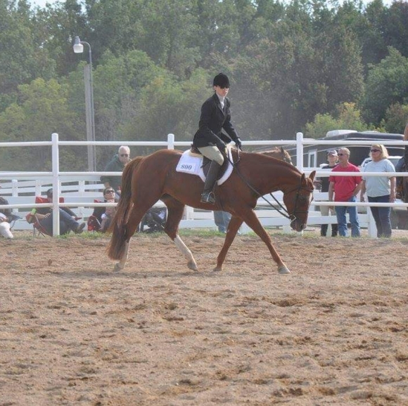 Meet your Posher, Kelly - Picture 7 of 7